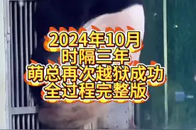 2024年10月萌兰越狱全过程 #萌兰越狱 #萌兰 #萌兰么么儿 #大熊猫 #萌兰西直门三太子视频封面
