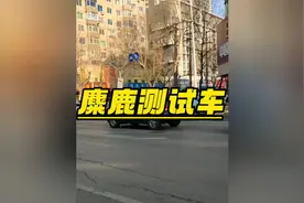 麋鹿测试最差排行名场面 其中有没有你的车#麋鹿测试