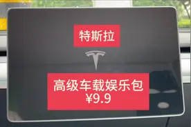 特斯拉每个月¥9.9的高级娱乐包到底都包含哪些功能