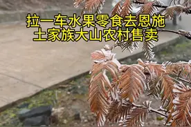 恩施土家卖货郎 第93集 | 坚持每天拉一车水果零食去恩施土家族大山农村售卖，转眼又是秋去冬来，不觉间在这些山头已跑满5年，这五年以来最应该感谢的是这里的每一位乡亲，因为他们在照顾我生意的同时，都把我当亲人当朋友。视频封面