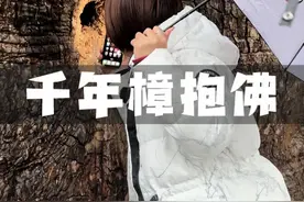 太神奇了，拳头大小的树洞里，竟然有一尊60公分的佛像，见所未见！#揭秘 #旅行推荐官 #千年古树 #樟抱佛视频封面