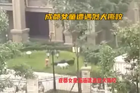 成都女童涵涵遭烈犬撕咬，历经生死，终脱离危险视频封面