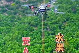 农业无人机在山区太好用了， 运水果、运肥料、打农药#三农 #大疆农业 #大疆T100#新农人计划2024视频封面
