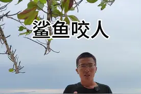 谨防鲨鱼咬人 又发生鲨鱼咬人事件，这一次不是常见的护士鲨所为，而是凶猛的黑鳍鲨;大家不要以为和鲨鱼游泳是一个人畜无害的事情，照片很酷，但一定要遵守4点安全规则，遇到鲨鱼不要惊慌扑腾，去年也发生很多起鲨鱼咬人事件#鲨鱼咬人 #马尔代夫