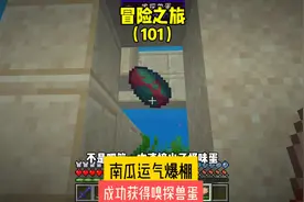 冒险之旅（101）:南瓜运气爆棚，成功获得嗅探兽蛋#我的世界