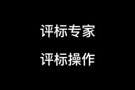 评标专家如何进行电子评标