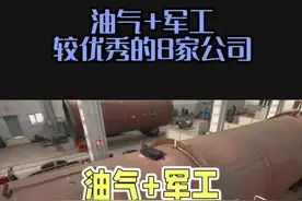 油气+军工，较优秀的8家公司 #油气 #军工 #军工企业 #中国制造