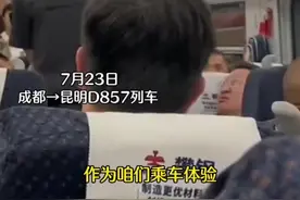乘务员霸气制止车厢里儿童儿童吵闹，很久没见过如此硬核的铁路职工了#复兴号智能动车组 #火车迷 #高铁 #动车 #高铁🚅视频封面