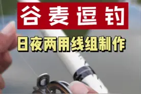 #钓鱼 #谷麦逗钓 #调漂 谷麦逗钓线组制作,日夜两用,详细制作过程和使用技巧,竿梢头防缠防折弯曲。