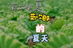 今天带大家看一步非常治愈的电影《菊次郎的夏天》#电影解说视频封面