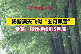 进入5月，河南多地进入飞絮絮的高发期，飞絮树种以毛白杨为主。相关专家表示，受气候影响，预计飞絮将持续到5月底。（河南日报农村版记者 赵博）#河南 #杨絮 #杨絮满天飞 #郑州视频封面