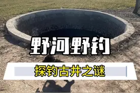 钓鱼时的意外惊喜 #钓鱼 #趣钓娱 #老坛维它米 #神窝米 #中逵钓鱼王30周年正青春视频封面