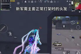 新军需主套的头发，哈哈哈，这对吗#和平精英辉羽雀灵