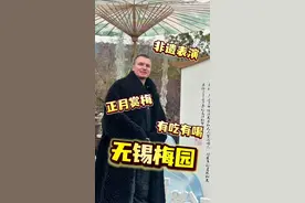 春节申遗成功，今天去无锡梅园赏梅过节啦！据说二月中会全部盛开，到时候再去一次猛猛出片！#第十九届中国梅花蜡梅展览会 #梅满中国花开盛世 #无锡梅园 #2025年总台春晚在无锡视频封面
