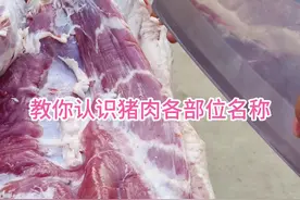 认识猪肉 教你认识猪肉各部位名称#猪肉 #左手刀鹏哥 #解压 #技巧 #剔肉