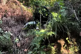 #农村搞笑段子 #社会百态 #我的乡村生活视频封面