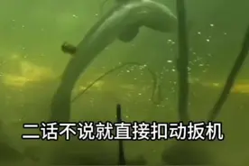 泰国渔民潜力捕鱼没想到捕捉到的都是观赏鱼#渔民生活实拍 #户外捕鱼 #纪录片视频封面