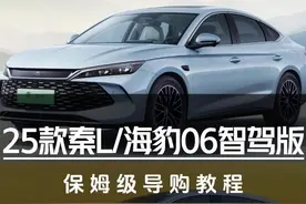 25款秦L/海豹06智驾版保姆级导购教程 #汽车#比亚迪#秦l #海豹06dmi #银河L6