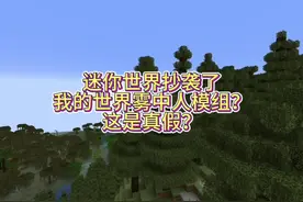 家人们，迷你世界没有抄袭我的世界的模组哟