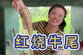 江苏远嫁河北的农村媳妇今天又捣鼓了啥？都说秋天吃牛尾顺风又顺水，毛霜今天买了一条牛尾巴，炖个红烧牛尾，吃着真下饭！#炖牛尾巴 #我在乡村做美食 #新农人计划2024  #记录真实生活 #乡村生活家
