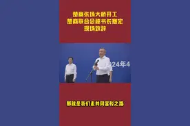 #乡村振兴在路上 #共同富裕#楚商张场大桥 #楚商联合会#@天门日报 @天门网宣 @极目新闻视频封面