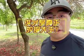 谁才是真正的铜大王？#北方铜业 #云南铜业#江西铜业 #紫金矿业视频封面