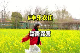 郑州周边不收门票的丰乐农庄，烧烤露营放风筝我真的从小去到大视频封面