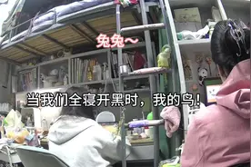 喜欢小兔子的小鸟#手养鹦鹉 #女生宿舍 #女大学生日常生活