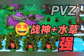【植物大战僵尸融合版】我发现了泳池模式的通关秘诀：水窝地神！