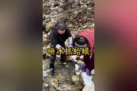 #我的乡村生活 #农村生活 #新农人计划2024 #大自然的馈赠 #大山里的味道 现在的蛤蟆是最干净，最好吃的。视频封面