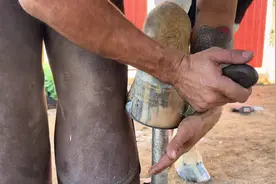 超爽！超长！带你感受沉浸式和治愈系的超极解压的修马蹄解压视频