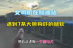 内蒙古人民太热情了，热情好客，在加油站，老板帮我加水视频封面