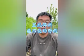黑坑饵料能不能野钓？ 你们有没有用黑坑饵料野钓过#钓鱼视频封面