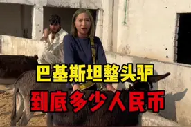 巴基斯坦整头驴，到底需要人民币#西域黑妞巴基斯坦友谊村 #巴基斯坦风土人情纪实 #巴基斯坦 #记录国外真实生活 #抖音美食推荐官