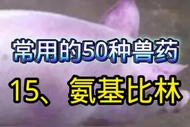 《常用的50种兽药》 15、氨基比林（安痛定），如何搭配使用？用量多少？#创作灵感 #养猪人 #兽医 #兽药 #养猪