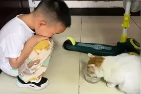 #猫为什么对小孩这么好 #熊孩子系列 #儿童启蒙早教益智动画片视频封面