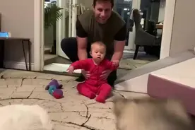 #狗狗交流的全过程 #人类幼崽视频封面