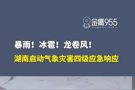 暴雨！冰雹！龙卷风！湖南启动气象灾害四级应急响应，预计4月11日-12日白天湖南省将出现今年首场区域性暴雨过程。（编辑：彭紫星）#湖南dou知道 #湖南天气视频封面