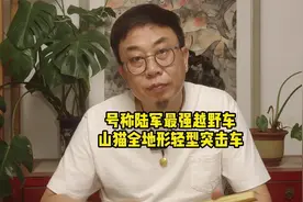 号称陆军最强越野车山猫全地形轻型突击车 #越野车 #武器装备视频封面