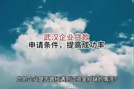 武汉企业贷款的申请条件，提高成功率#武汉企业 #武汉贷款视频封面