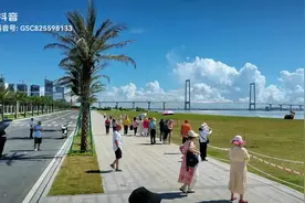 深中通道最佳打卡点，在这里，深中通道管理处，看海，日出，看桥视频封面