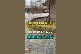 19世纪巴依老爷花费5000万两白银，打造的豪华庄园，真的是太奢靡了！#新疆和田玉 #玉文化 #这个视频有料视频封面