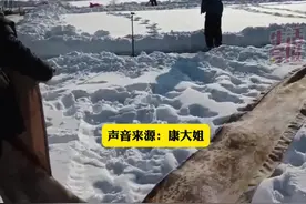 近日 #辽宁 #铁岭 康大姐绣了十年的#十字绣 作品《清明上河图》想卖50万！全网寻买家。视频封面