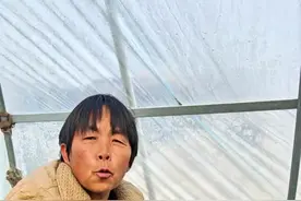 红薯育苗小技巧，自己喜欢吃哪个品种就育哪个品种！#红薯种植  #红薯苗 #红薯育苗 #三农 #红薯种植 @DOU+上热门 @抖音创作小助手 @DOU+小助手 @视频封面