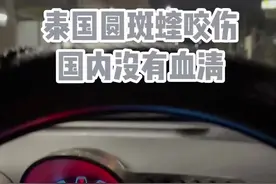 泰国圆斑蝰咬伤 国内没有血清#泰国圆斑蝰 #因为热爱所以坚持 #星光不问赶路人岁月不负有心人