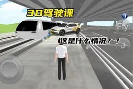 #233乐园 #3D驾驶课 #模拟游戏 这怎么开不过去啊