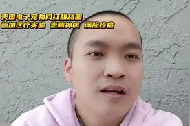 电子宠物网红甜甜圈🍩现状:很自由#美国 #美国流浪汉视频封面