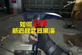 教你们白拿近战刀皮黑海!#三角洲行动 #猛攻三角洲4月新赛季