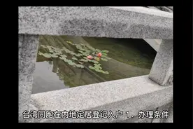 #台湾同胞 在内地定居登记#入户 入户你了解了吗？视频封面