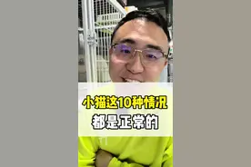 小猫这10种情况都是正常的，根本不用往医院跑。#新手养猫 #养猫人 #养猫进阶指南视频封面